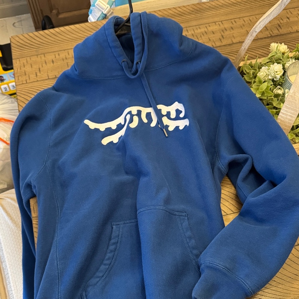 Sun Day Red Tiger Woods Brand Blue Hoodie